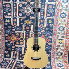 Taylor BT1e 【送料当社負担・最大48回分割無金利】_2