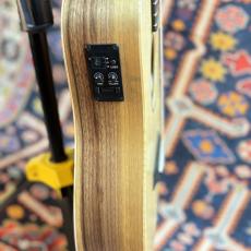 Taylor BT1e 【送料当社負担・最大48回分割無金利】_3