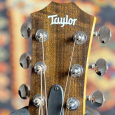 Taylor 【限定モデル】GS Mini-e Fuchsia Pink Paisley #2203315207 【送料当社負担・最大48回分割無金利】_8