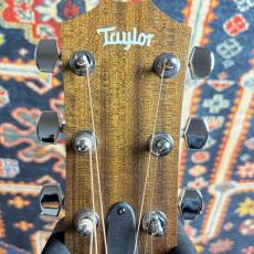 Taylor 【初めての方にも扱いやすい!!】Academy 10 #2206012348 【送料当社負担・最大48回分割無金利】_8