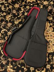 NAZCA エレキギター用 (ST/TE)_3