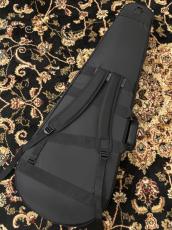 NAZCA オールラウンドギター用_2