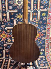 Paco Castillo パコ・カスティージョ 201S 松・サペリ_4