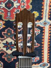 Paco Castillo パコ・カスティージョ 201S 松・サペリ_5