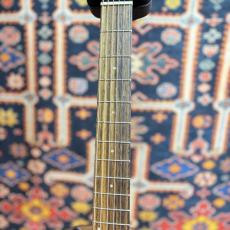 Taylor 【初めての方にもおススメ!!】112ce #2202275102 【送料当社負担・最大48回分割無金利】_5