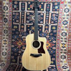 Taylor 【初心者の方にもおススメ】210ce RW #2203122076 【送料当社負担・最大48回分割無金利】_2