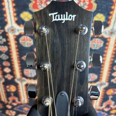 Taylor 【初心者の方にもおススメ】210ce RW #2203122076 【送料当社負担・最大48回分割無金利】_8