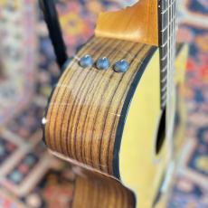 Taylor 【ローズウッドモデル】214ce Plus #2201105392 【送料当社負担・最大48回分割無金利】_3