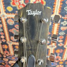 Taylor 【ローズウッドモデル】214ce Plus #2201105392 【送料当社負担・最大48回分割無金利】_8