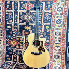 Taylor 312ce 【送料当社負担・最大48回分割無金利】_2