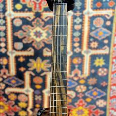 Taylor Custom GA #13027 cocobolo/Shinker 【送料当社負担・最大48回分割無金利】_7