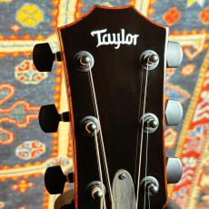 Taylor Custom GA #13031 UrbanAsh【送料当社負担・最大48回分割無金利】_9