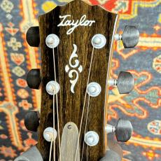 Taylor Taylor Gold Label 814e Koa #1212174103_9