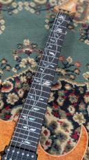 Ibanez IV1RG 受注生産品 4.1kg_4