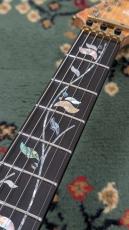 Ibanez IV1RG 受注生産品 4.1kg_5