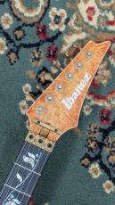 Ibanez IV1RG 受注生産品 4.1kg_6