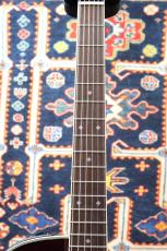 Takamine 【人気カラー】DMP551C WR #【送料当社負担・最大48回分割無金利】_3