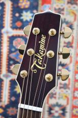 Takamine 【人気カラー】DMP551C WR #【送料当社負担・最大48回分割無金利】_5