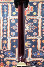 Takamine 【人気カラー】DMP551C WR #【送料当社負担・最大48回分割無金利】_7