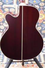 Takamine 【人気カラー】DMP551C WR #【送料当社負担・最大48回分割無金利】_8