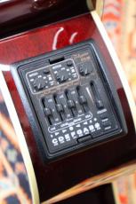 Takamine 【人気カラー】DMP551C WR #【送料当社負担・最大48回分割無金利】_10