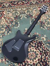 Paul Reed Smith [PRS] SE Custom 24 - Amethyst #CTIH002948_6