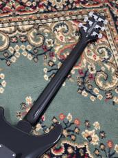 Paul Reed Smith [PRS] SE Custom 24 - Amethyst #CTIH002948_7