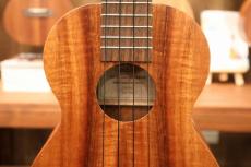 Kamaka 【美しい虎目・ふくよかな低音】HF-2  #250141【送料当社負担・最大48回分割無金利】_3