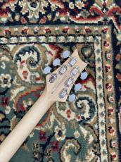 Paul Reed Smith [PRS] PRS SE Silver Sky Rosewood - 9J - Piano Black #CTIF026773_8