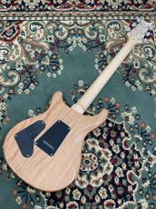 Paul Reed Smith [PRS] SE Custom 24 - TU - Turquoise #CTIF110715_6