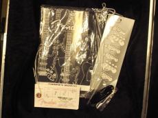 Fender Jim Root Stratocaster Mod_11