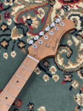 Bacchus GS-2DX RSM/M LPB【送料当社負担】_4