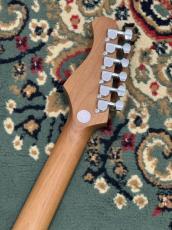 Bacchus GS-2DX RSM/M WH 【送料当社負担】_8