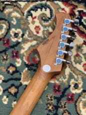 Bacchus GS-2DX RSM/M BLK【送料当社負担】_8