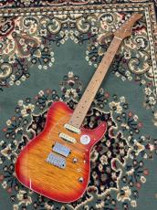 Bacchus TAC24AD-FMH RSM/M   送料当社負担】_2