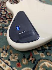 Sadowsky ML22 WL4 ALD OWT【3.72kg】_6