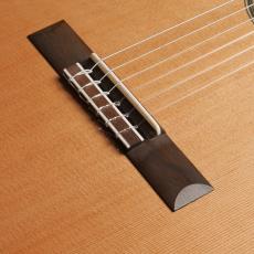 ASTURIAS Double Top_3