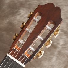 ASTURIAS Double Top_8