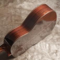 ASTURIAS Double Top_10