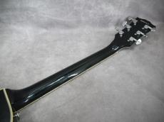 GrassRoots G-LP-55C_7