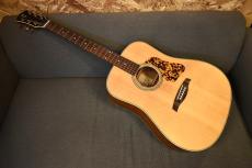 LEVINSON LD-25【S/N15040002】_2