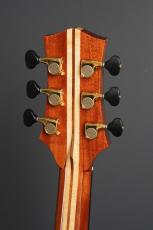 Heinonen Guitars SJ_8