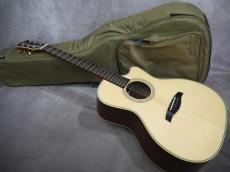 Gary E. Levinson Sangamon Cutaway LSC-43MVT