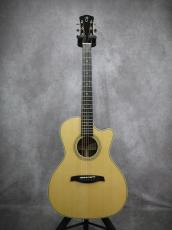 Gary E. Levinson Sangamon Cutaway LSC-43MVT_2