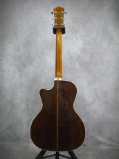 Gary E. Levinson Sangamon Cutaway LSC-43MVT_3