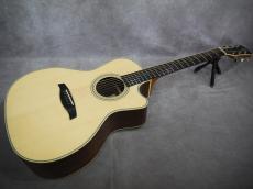 Gary E. Levinson Sangamon Cutaway LSC-43MVT_4