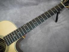 Gary E. Levinson Sangamon Cutaway LSC-43MVT_5