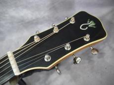 Gary E. Levinson Sangamon Cutaway LSC-43MVT_6