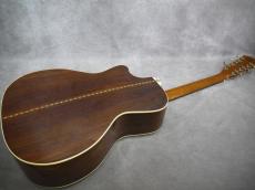 Gary E. Levinson Sangamon Cutaway LSC-43MVT_7