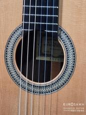 Paulino Bernabe [パウリーノ・ベルナベ] ロイヤル ROYAL 杉・ブラジリアンローズウッド 最新作! 【日本総本店2F 在庫品】